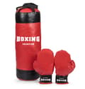Miniatyrbillede 1 af 4: Boxing Champion
