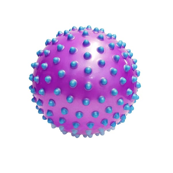 Taggboll Lila/Blå 10cm