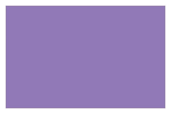 LIQUITEX Ac Spray 400Ml Brilliant Purple 0590