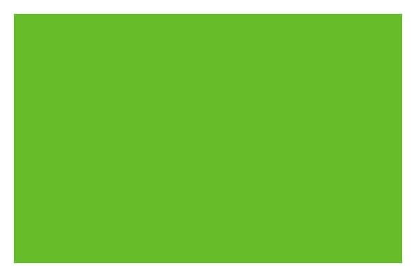 LIQUITEX Ac Spray 400Ml Vivid Lime Green 740