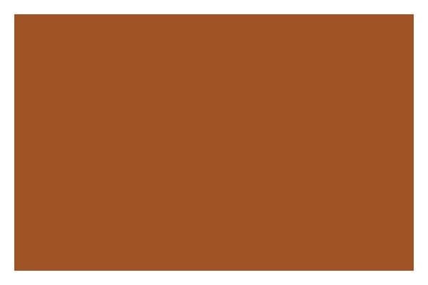 LIQUITEX Ac Spray 400Ml Raw Sienna 0330