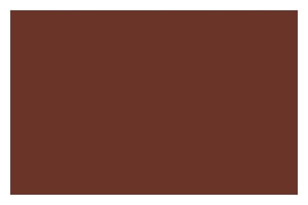 Liquitex Sprayfärg 400ml Burnt Sienna 0127