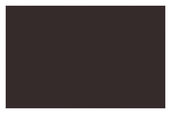 LIQUITEX Ac Spray 400Ml Burnt Umber 0128