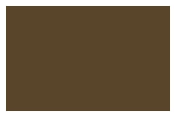 LIQUITEX Ac Spray 400Ml Raw Umber 0331