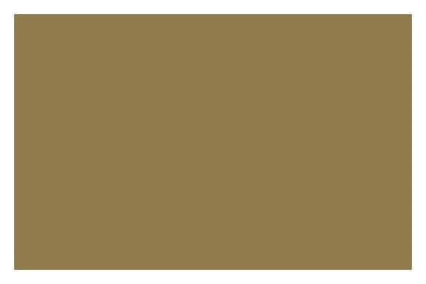 LIQUITEX Ac Spray 400Ml Iridescent Antique Gold 0237