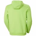 Miniatyrbillede 2 af 3: Hættetrøje til Mænd HH LOGO Helly Hansen 33977 395 Grøn