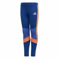 Pikkukuva 1 / 6: Lasten urheilulegginsit Adidas Tight Sininen