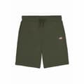 Miniatyrbild 2 av 8: Träningsshorts Dickies Mapleton Armégrön Oliv