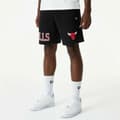 Miniatyrbillede 7 af 8: Sport Shorts New Era NBA Chicago Bulls Sort