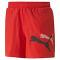 Miniatyrbild 1 av 3: Sportshorts för män Puma Ess+ Logo Power Cat For All Time Röd