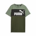 Miniatyrbild 1 av 5: Barn T-shirt med kortärm Puma Ess Block Grön