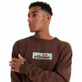 Pikkukuva 3 / 4: Miesten huputon collegepaita Ellesse Tablido Ruskea