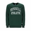 Miniatyrbild 1 av 4: Tröja utan huva Herr Russell Athletic Iconic Grön