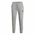 Pikkukuva 1 / 6: Aikuisten hosuut JJNEWSOFT Jack & Jones Harmaa Miehet