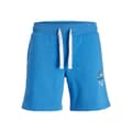Pikkukuva 1 / 4: Miesten urheilushortsit Jack & Jones JPSTANDY SWEAT 12225087 Sininen