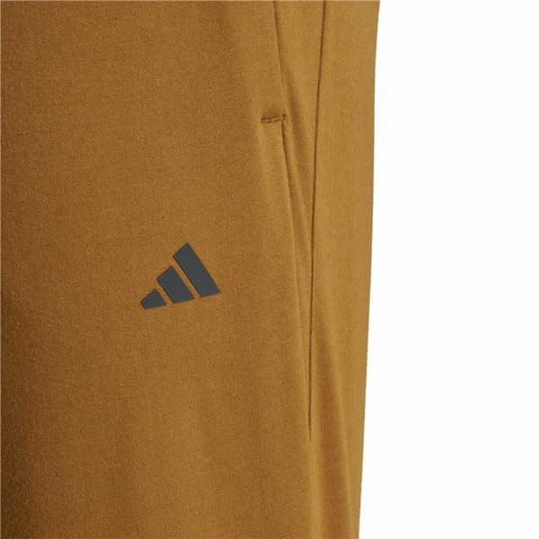 Pitkät urheiluhousut Adidas Base Training Kullattu