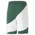 Miniatyrbillede 2 af 3: Sport shorts til mænd Puma Power Cat Grøn
