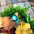 Miniatyrbillede 6 af 9: Arcus Havespot RGB Sort