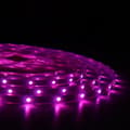 Miniatyrbild 3 av 7: Lite bulb moments Smart Vattentålig LED-remsa 5M RGBW