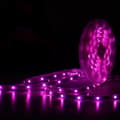Miniatyrbild 4 av 7: Lite bulb moments Smart Vattentålig LED-remsa 5M RGBW