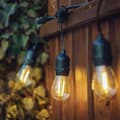 Miniatyrbild 5 av 7: Lite bulb moments Smart Light Chain - Vintage Edison