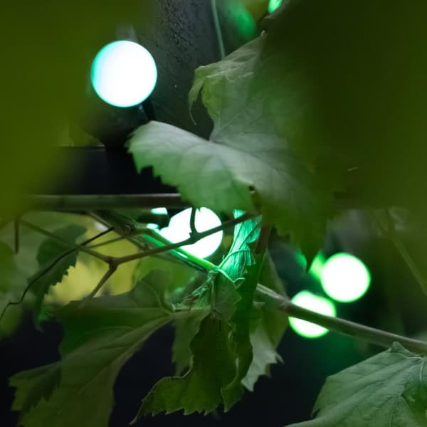 Lite bulb moments Smart Light Chain - Globe 3 cm