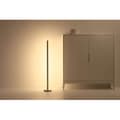 Miniatyrbild 8 av 9: Wiz WiFi Pole Golvlampa RGB Multicolor 150cm