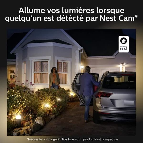 Philips Hue Vit FUZO - Stolpe - Svart