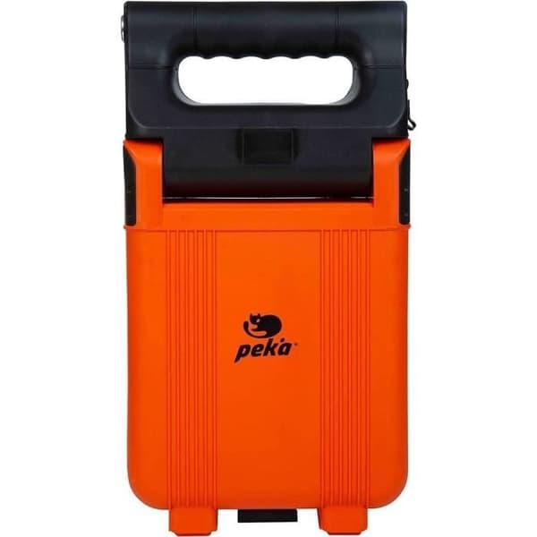 Projektor LED W300 PEKA