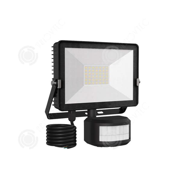 INN Utomhus LED strålkastare 30w 3000LM Människokroppen Infraröd sensor Grafen Projektor Fjärrkontroll Modell IP66 Level Protecti