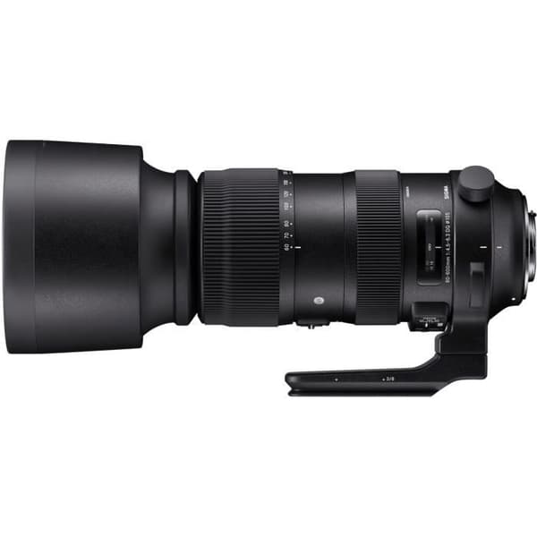 Sigma 60-600mm f/4.5-6.3 DG OS