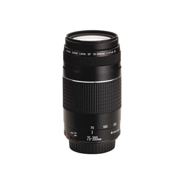 Canon EF 75-300 III f/4-5,6