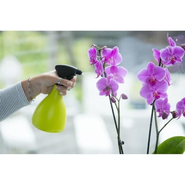 NATURE Spruta - Polyeten - Ljusgrön - 0,7 L