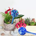 Miniatyrbild 2 av 4: Hydro Globes Mini automatiska bevattningslampor, Deluxe 2-delad set