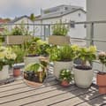Miniatyrbild 3 av 6: Balkongstartsats - upp till 15 plantor - 13401-20