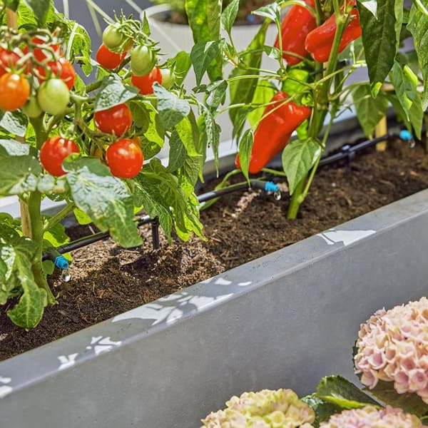 Initieringssats för terrass upp till 30 plantor - 13400-20