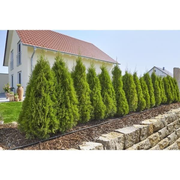 Komplett droppbevattningssats storlek M Micro-Drip® - GARDENA - 13011-20 - 25m slang - självrengörande
