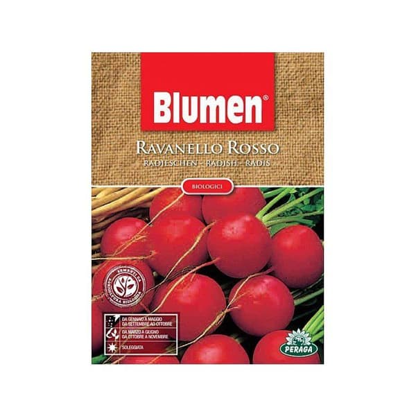 Organiska frön av röd rädisa trädgård fröer Blumen