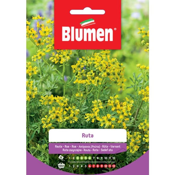 SEMI DI RUTA BLUMEN