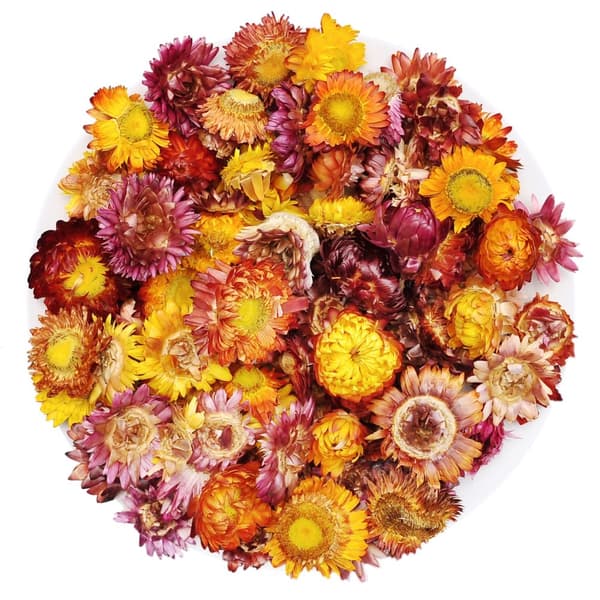 Farverig tusindfryd tørret blomst - 50g spiselige blomster