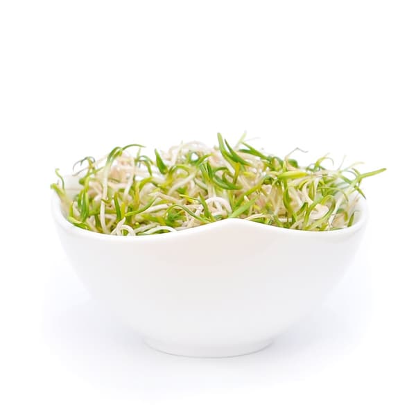 Pinaatti - siemenet versoille - 100 g