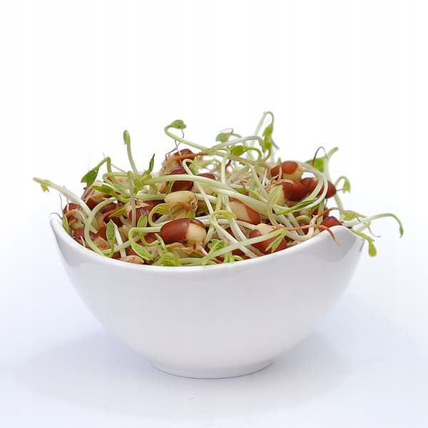 Adzuki bønner - 250 g frø til spirer
