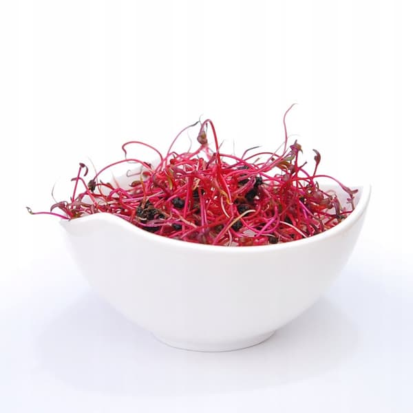 Punajuuri Bycza Krew 250g - siemeniä ituihin