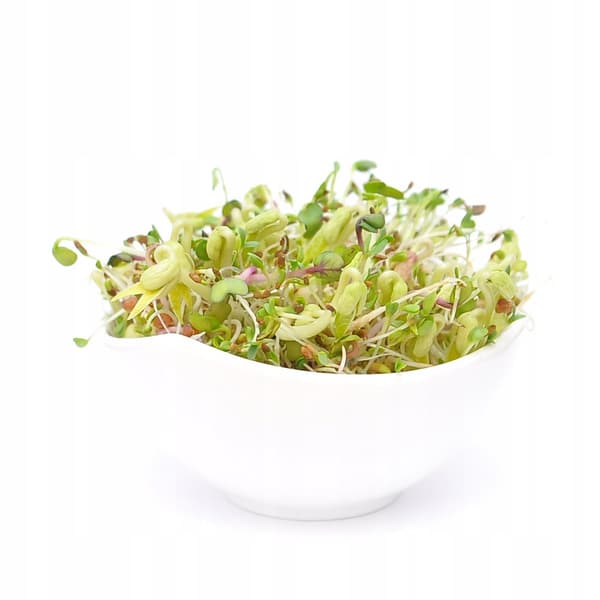 Mild blanding - 50 g frø til spirer
