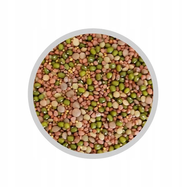 Krydret blanding - 100g Frø til spirer