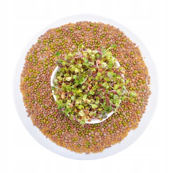 Krydret blanding - 100g Frø til spirer