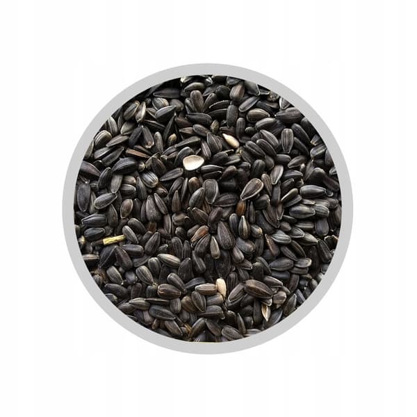 Auringonkukka - siemenet versoille - 250 g