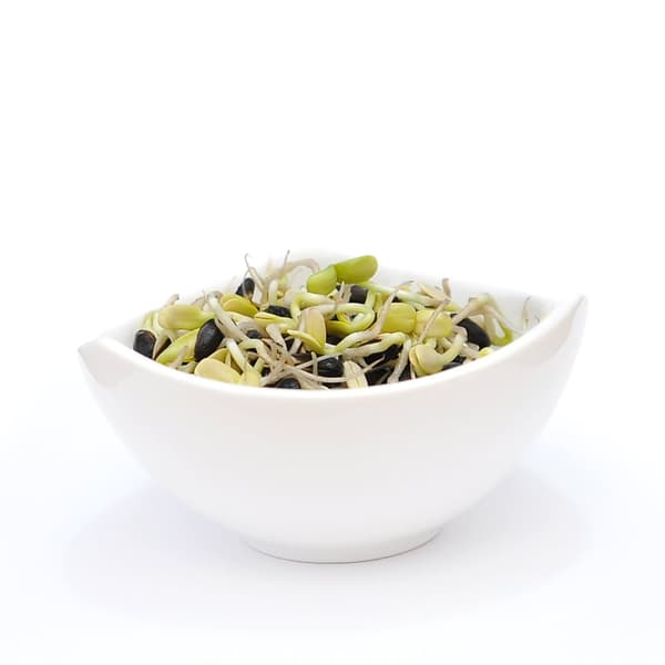 Auringonkukka - siemenet versoille - 250 g