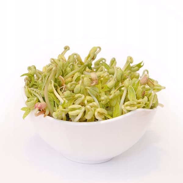 Mung pavut 100g - siemenet ituihin