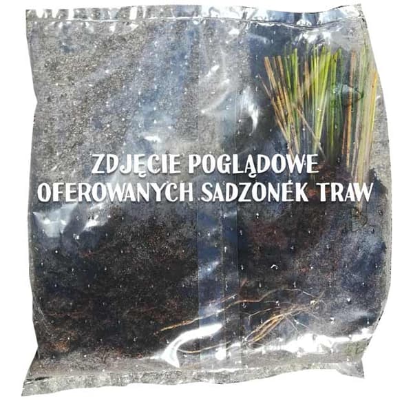 Miscanthus-koristeheinäsetti 5 kpl.